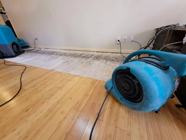 Professional Burst Pipe Water Damage technician working in Devine, TX